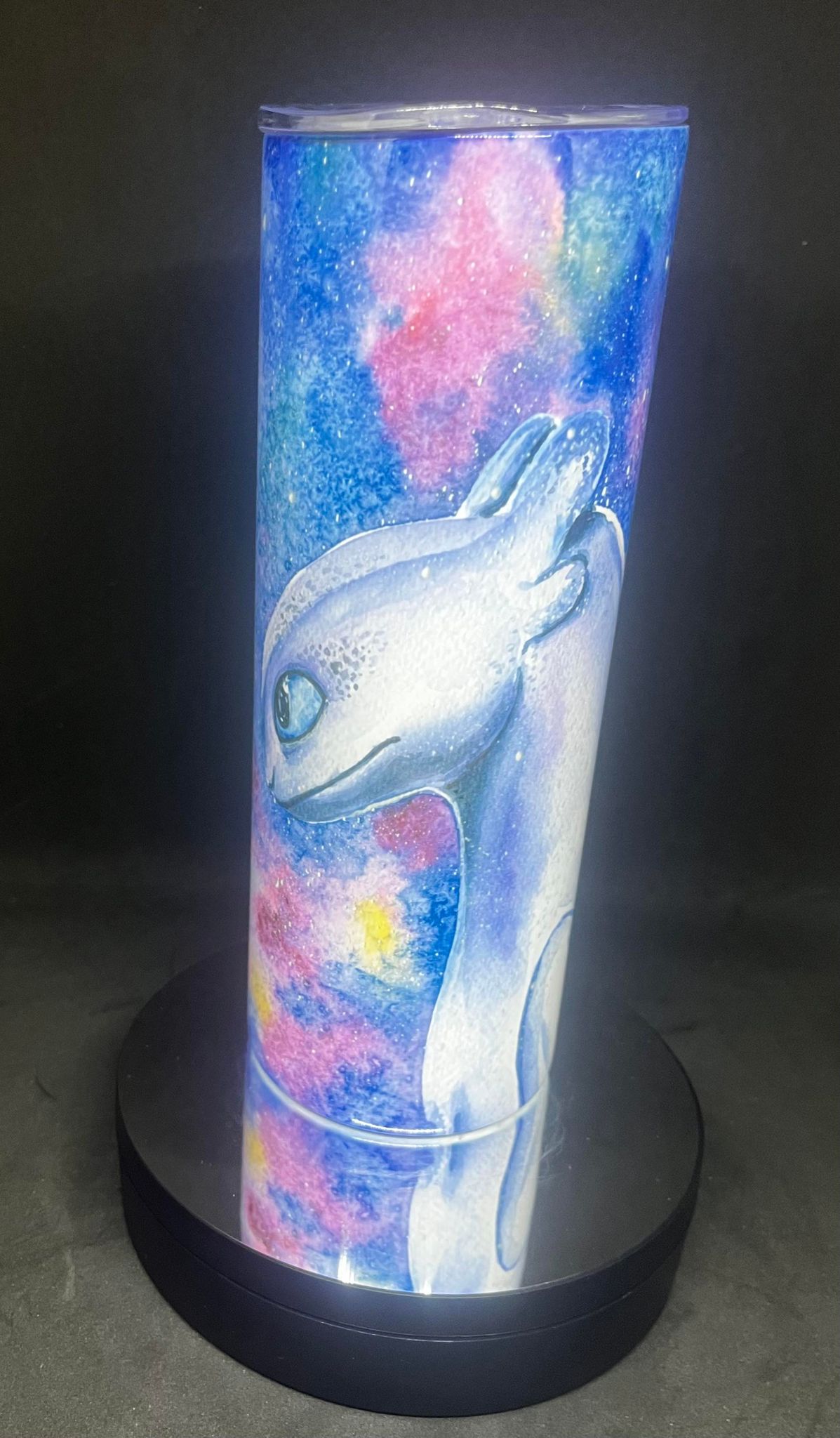 How to Train Your Dragon Tumbler