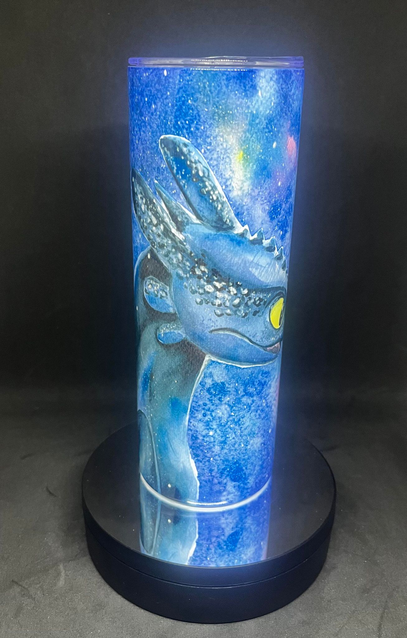 How to Train Your Dragon Tumbler