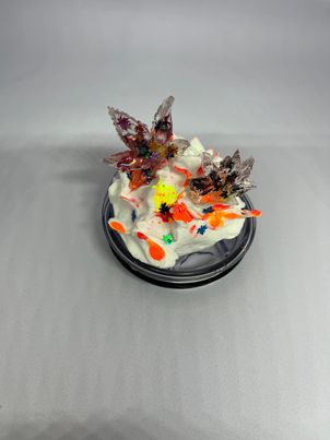 Party Lids